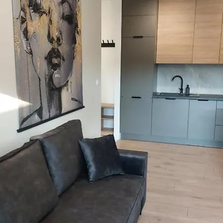 Apartament Seven Z Miejscem Parkingowym Torun Exterior photo