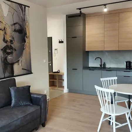 Apartament Seven Z Miejscem Parkingowym Torun Exterior photo