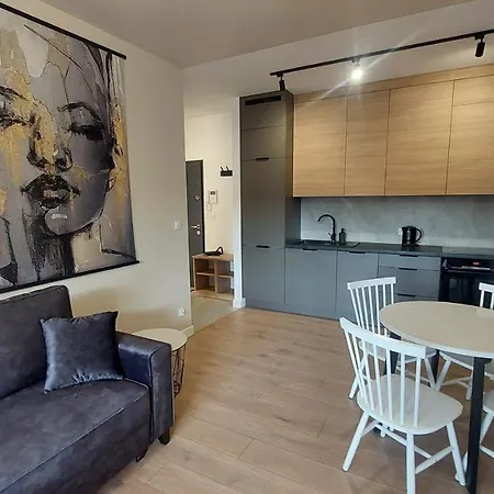 Apartament Seven Z Miejscem Parkingowym Torun Exterior photo